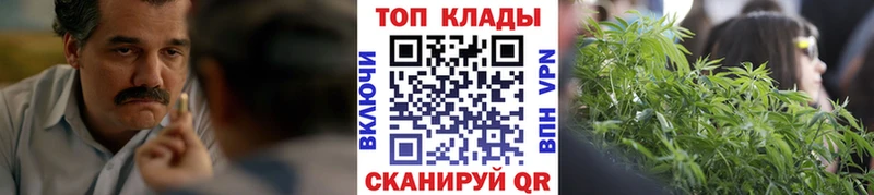 Все наркотики Апатиты Cocaine  Alpha PVP  Псилоцибиновые грибы  МАРИХУАНА 