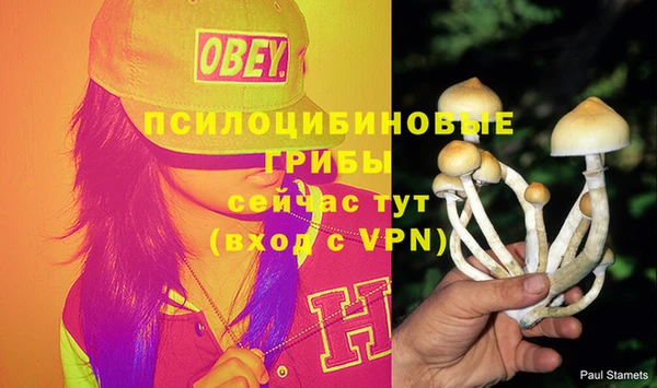 кокаин перу Алзамай