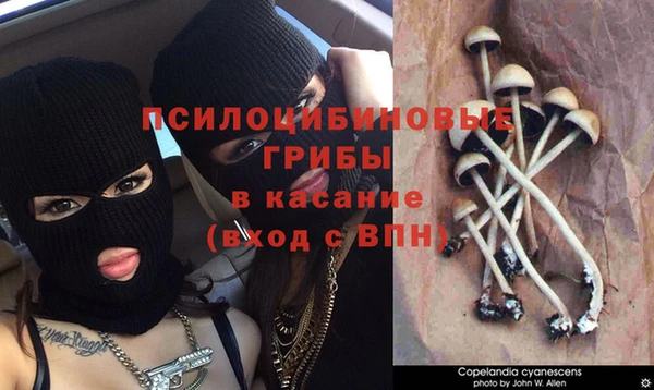 кокаин перу Алзамай